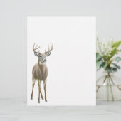 Whitetail Deer Buck Letterhead (Standing Front)