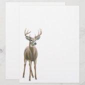 Whitetail Deer Buck Letterhead (Front/Back)