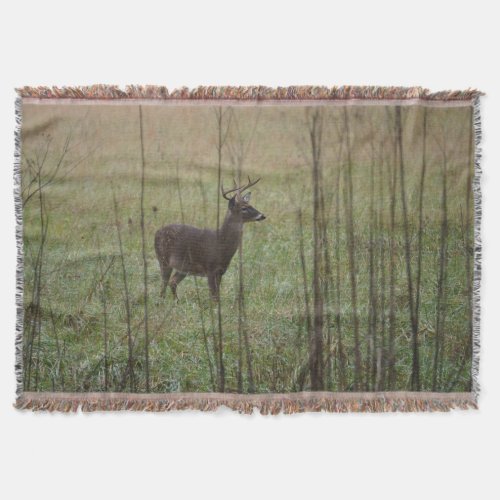 Whitetail Deer Buck looks longingly Throw Blanket