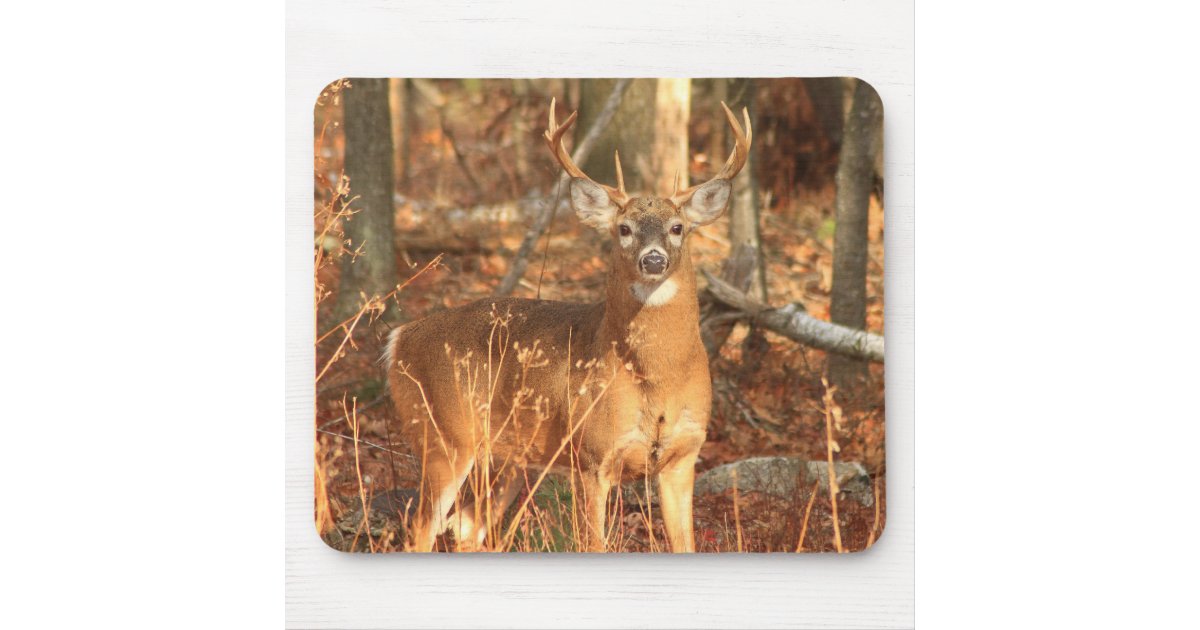  Whitetail Buck Deer Mouse Pad - Wildlife Theme Design