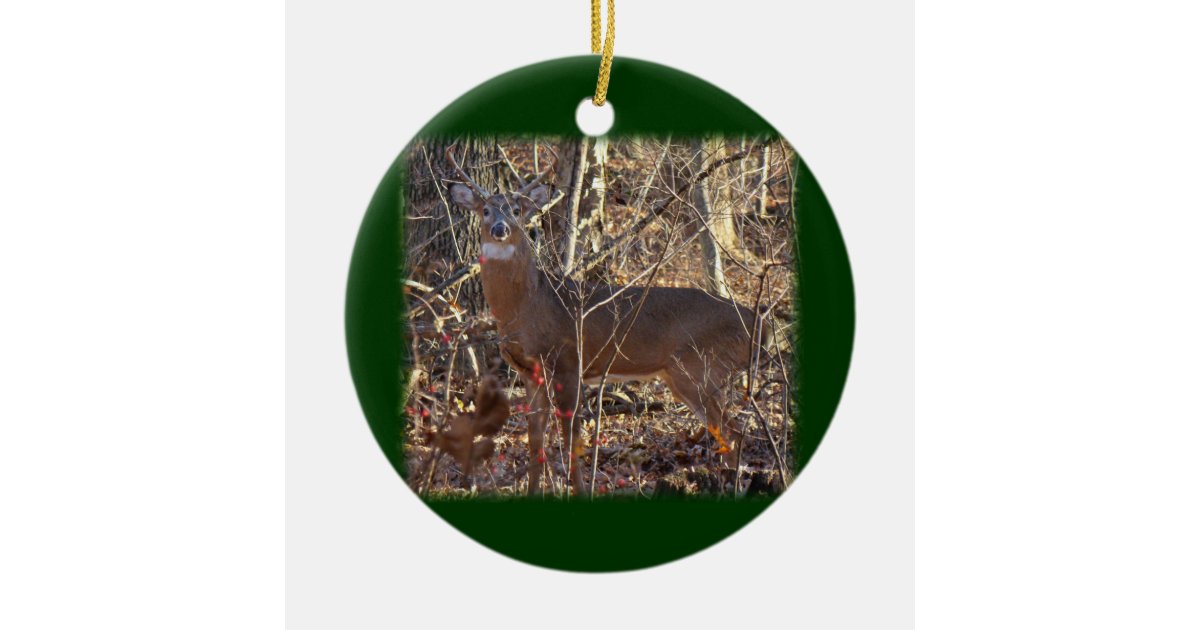 Whitetail Deer Buck Ornament to Personalize Zazzle