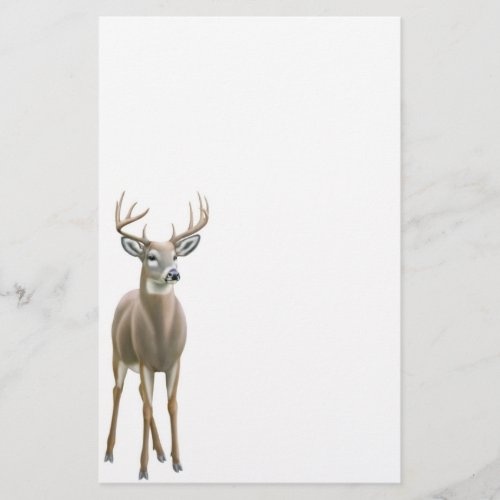 Whitetail Deer Buck Stationery