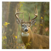 Deer handpainted on plastic all weather tiles online