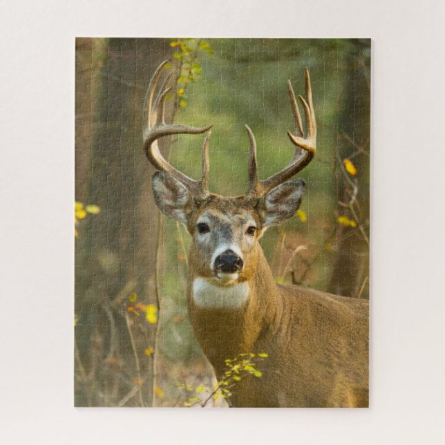 Whitetail Deer Buck | Whitefish, Montana Jigsaw Puzzle (Vertical)