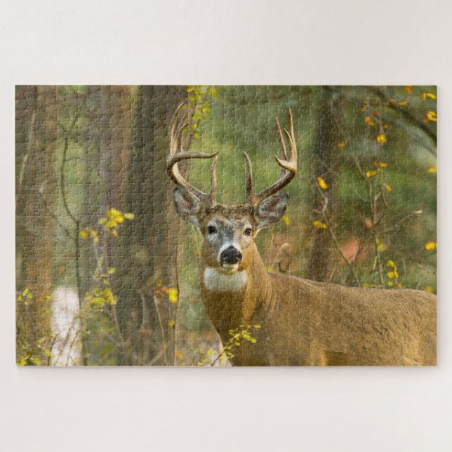Whitetail Deer Buck | Whitefish, Montana Jigsaw Puzzle (Horizontal)