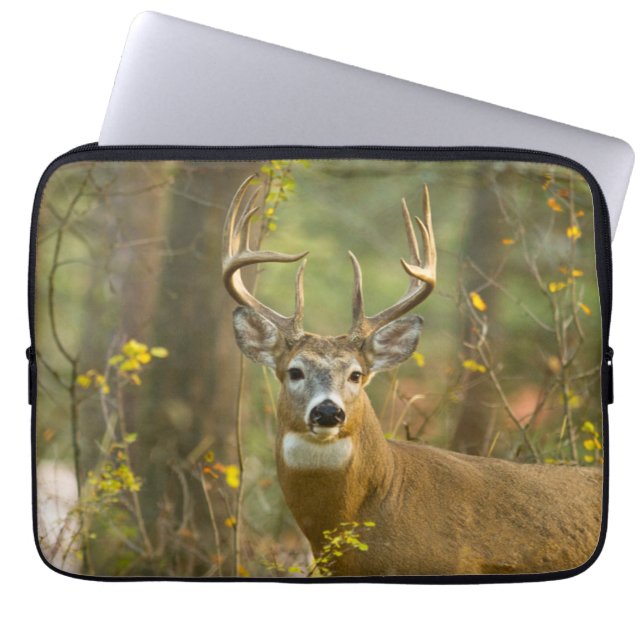 Whitetail Deer Buck | Whitefish, Montana Laptop Sleeve (Front)