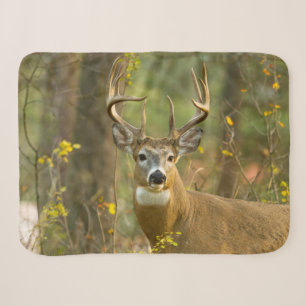 Whitetail Deer Buck Whitefish, Montana Sherpa Blanket