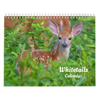 Whitetail Deer Calendar