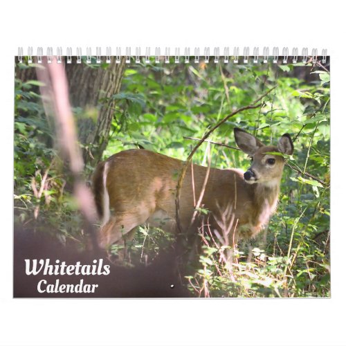 Whitetail Deer Calendar
