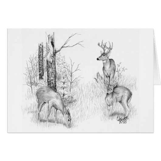 Whitetail Deer Card (Front Horizontal)