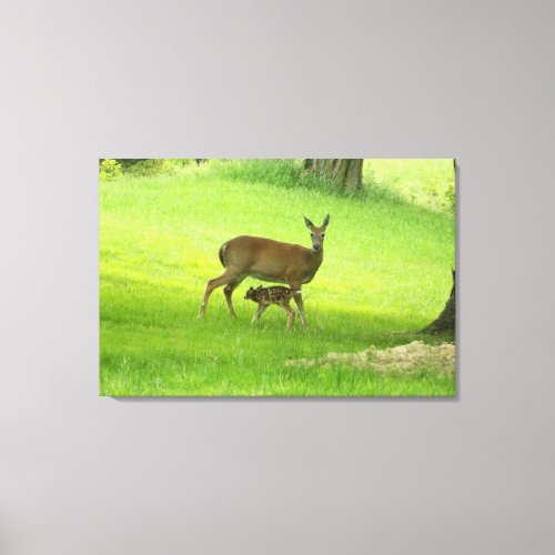 Whitetail Deer Doe and Fawn Canvas Print