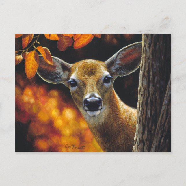 Whitetail Deer Doe Face Fall Colors Postcard (Front)