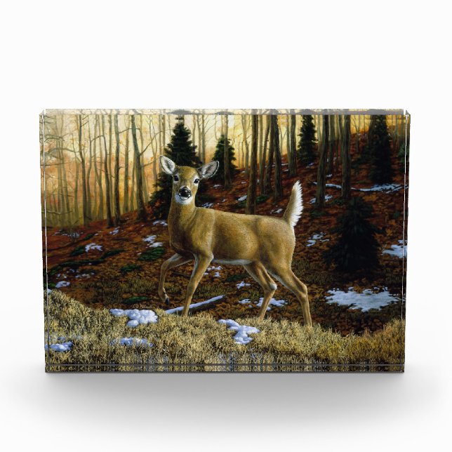 Whitetail Deer Doe in Autumn Forest Acrylic Award (Front)