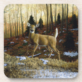 Whitetail Deer Doe in Autumn Forest Beverage Coaster