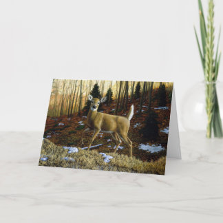 Whitetail Deer Doe in Autumn Forest Card