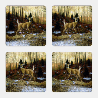 Whitetail Deer Doe in Autumn Forest Coaster Set