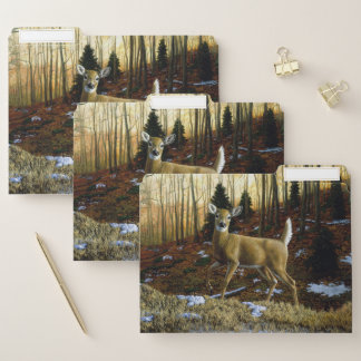Whitetail Deer Doe in Autumn Forest File Folder