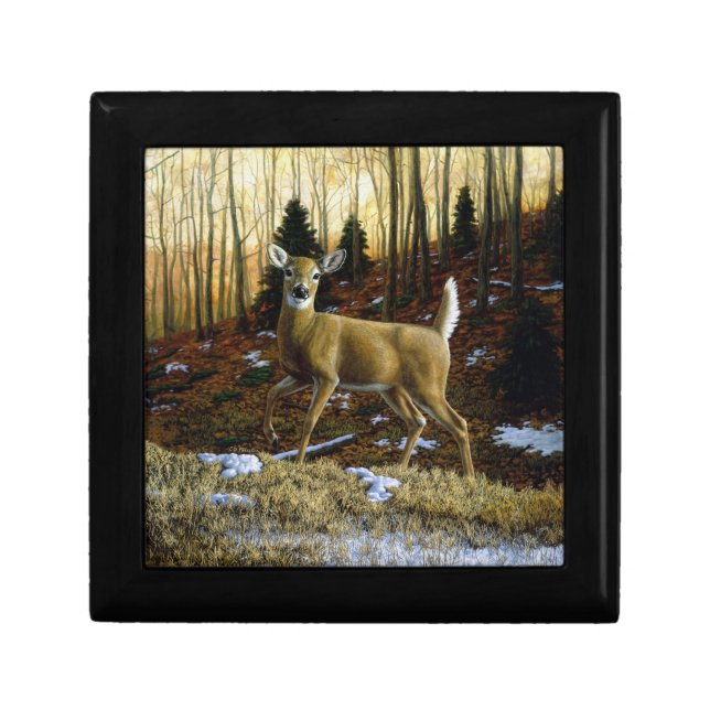 Whitetail Deer Doe in Autumn Forest Gift Box (Front)