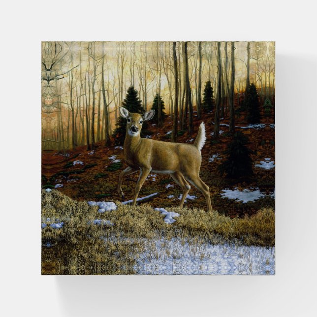 Whitetail Deer Doe in Autumn Forest Paperweight (Front)