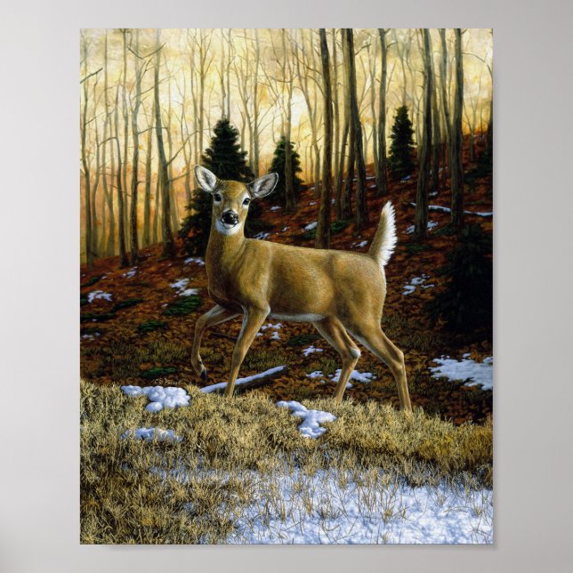 Whitetail Deer Doe in Autumn Forest Poster (Front)