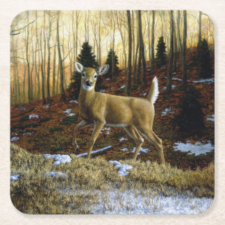 Whitetail Deer Doe in Autumn Forest Square Paper Coaster