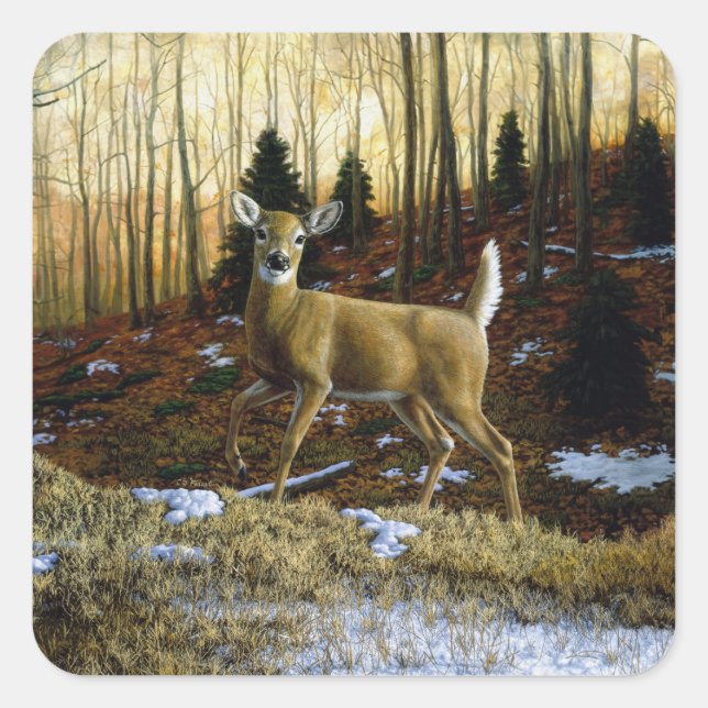 Whitetail Deer Doe in Autumn Forest Square Sticker (Front)