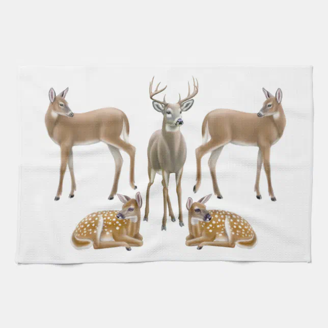 Whitetail Deer Family Kitchen Towel Zazzle