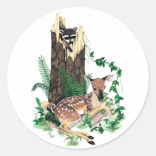 Whitetail Deer Fawn and Raccoon Sticker (Front)