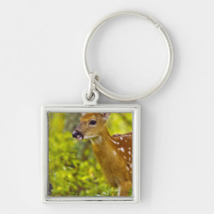Whitetail deer fawn in Whitefish, Montana, USA Keychain