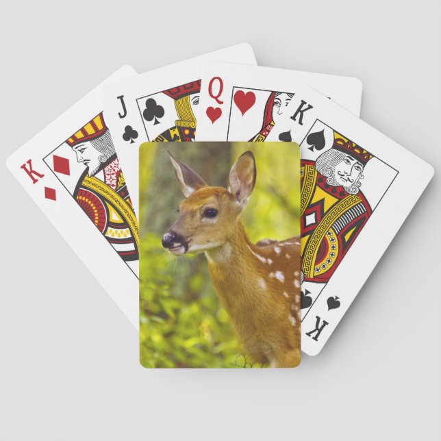 Whitetail deer fawn in Whitefish, Montana, USA Poker Cards (Back)