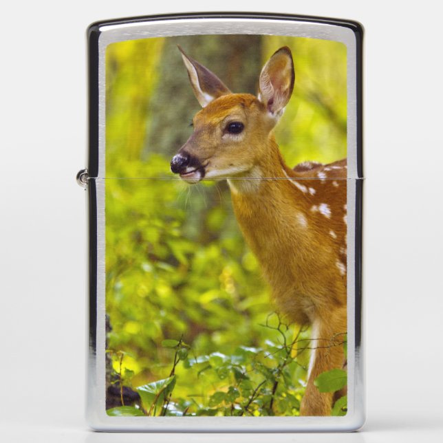 Whitetail deer fawn in Whitefish, Montana, USA Zippo Lighter (Front)