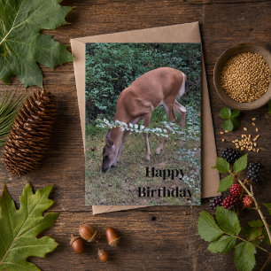 Whitetail Deer Grazing at Dusk Happy Birthday Card