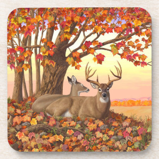 Whitetail Deer in Autumn New England Fall Colors Beverage Coaster