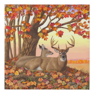 Whitetail Deer in Autumn New England Fall Colors Faux Canvas Print
