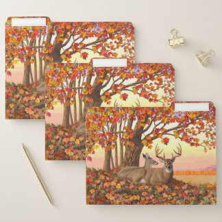 Whitetail Deer in Autumn New England Fall Colors File Folder
