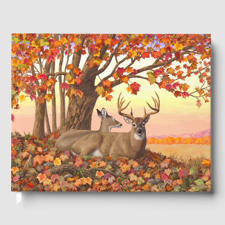 Whitetail Deer in Autumn New England Fall Colors Guest Book
