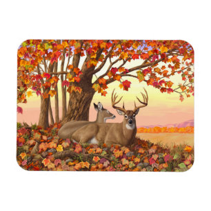 Whitetail Deer in Autumn New England Fall Colors Magnet