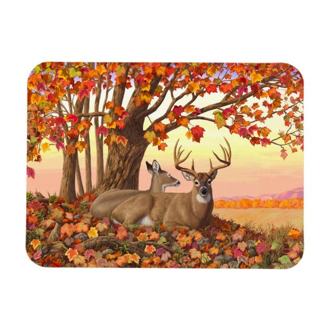 Whitetail Deer in Autumn New England Fall Colors Magnet (Horizontal)