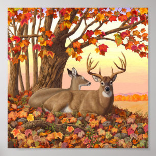Whitetail Deer in Autumn New England Fall Colors Poster