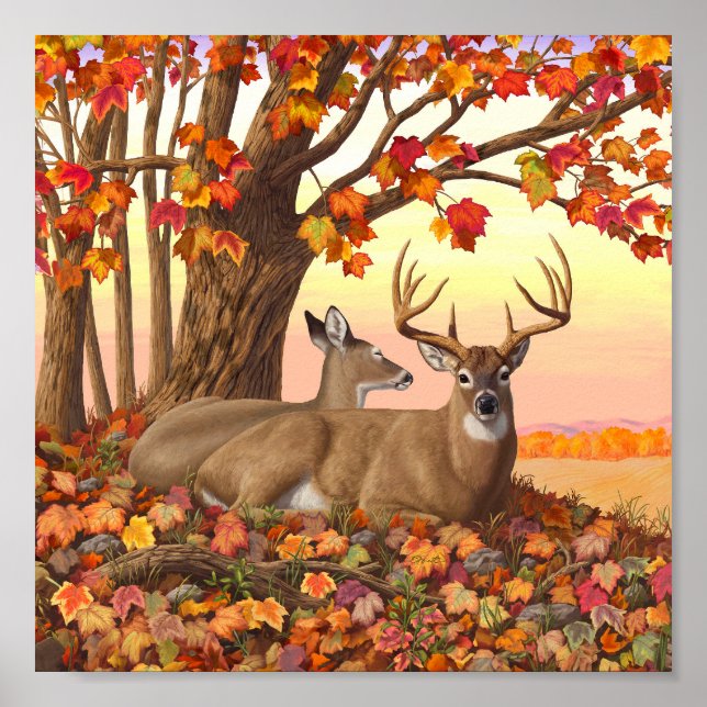 Whitetail Deer in Autumn New England Fall Colors Poster (Front)