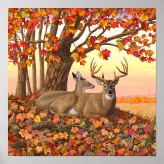 Whitetail Deer in Autumn New England Fall Colors Poster