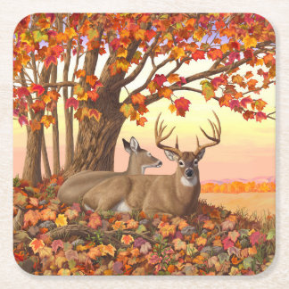 Whitetail Deer in Autumn New England Fall Colors Square Paper Coaster