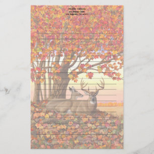 Whitetail Deer in Autumn New England Fall Colors Stationery