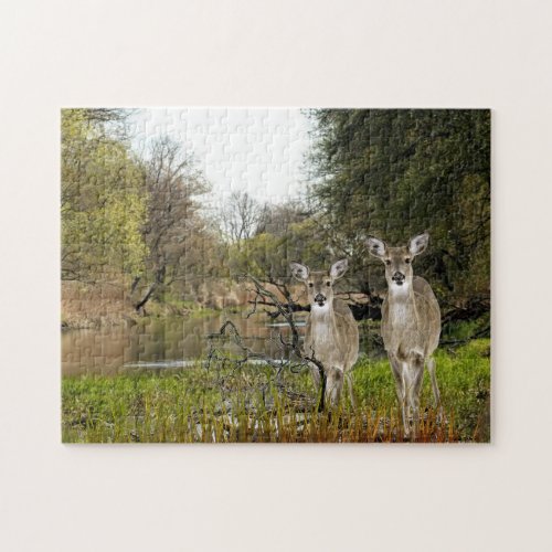 Whitetail Deer in Forest Collage Art  Jigsaw Puzzle