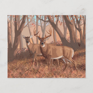 Whitetail Deer In Forest Retro Style Nature
