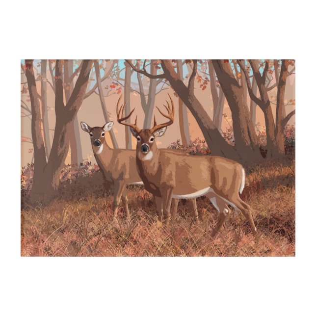 Whitetail Deer In Forest Retro Style Nature Acrylic Print (Front)