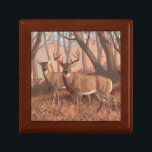 Whitetail Deer In Forest Retro Style Nature Gift Box<br><div class="desc">Deer in the woods</div>