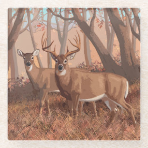 Whitetail Deer In Forest Retro Style Nature Glass Coaster