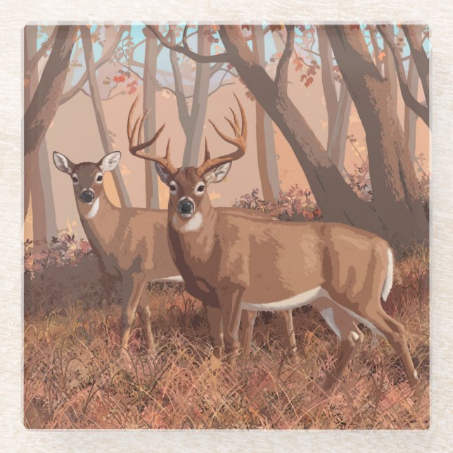 Whitetail Deer In Forest Retro Style Nature Glass Coaster (Front)