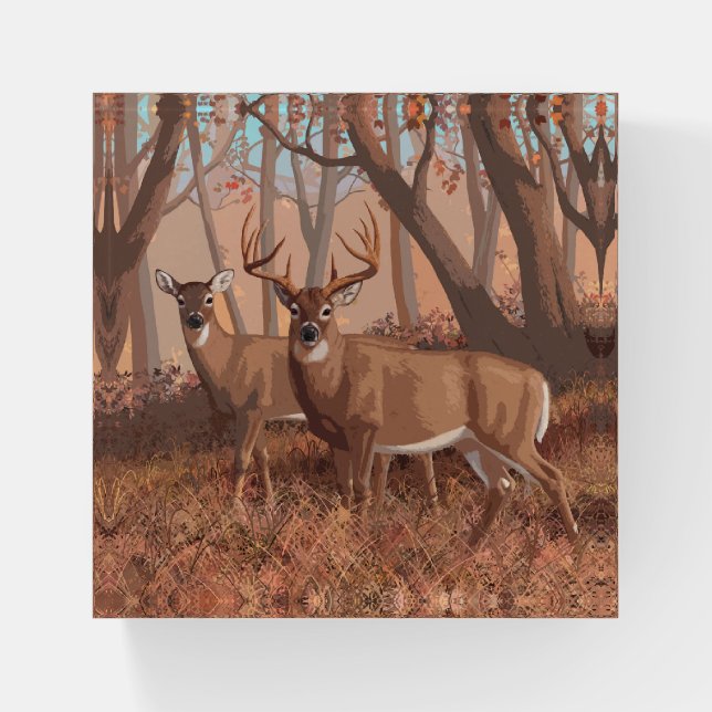 Whitetail Deer In Forest Retro Style Nature Paperweight (Front)